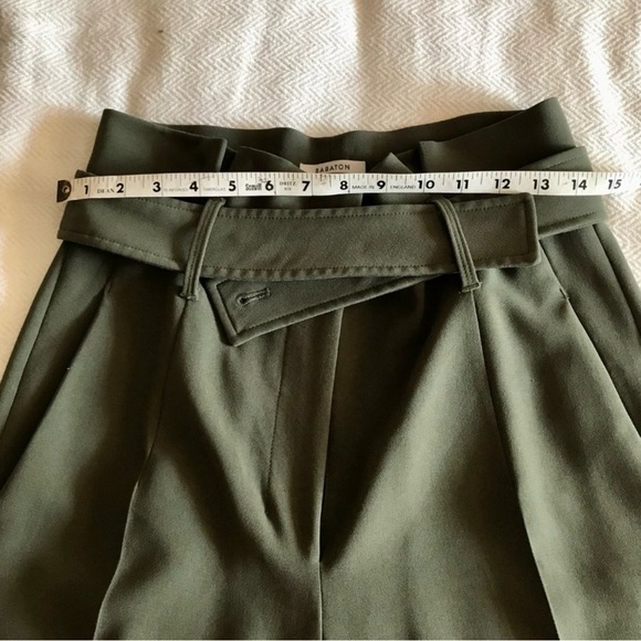 Aritzia Taupe High-Rise Belted Pants - Picture 5 of 12